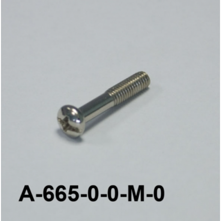 A-665 Pan head screw