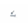 VD-325 Pan head screw